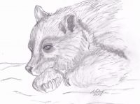 Bear Guardian